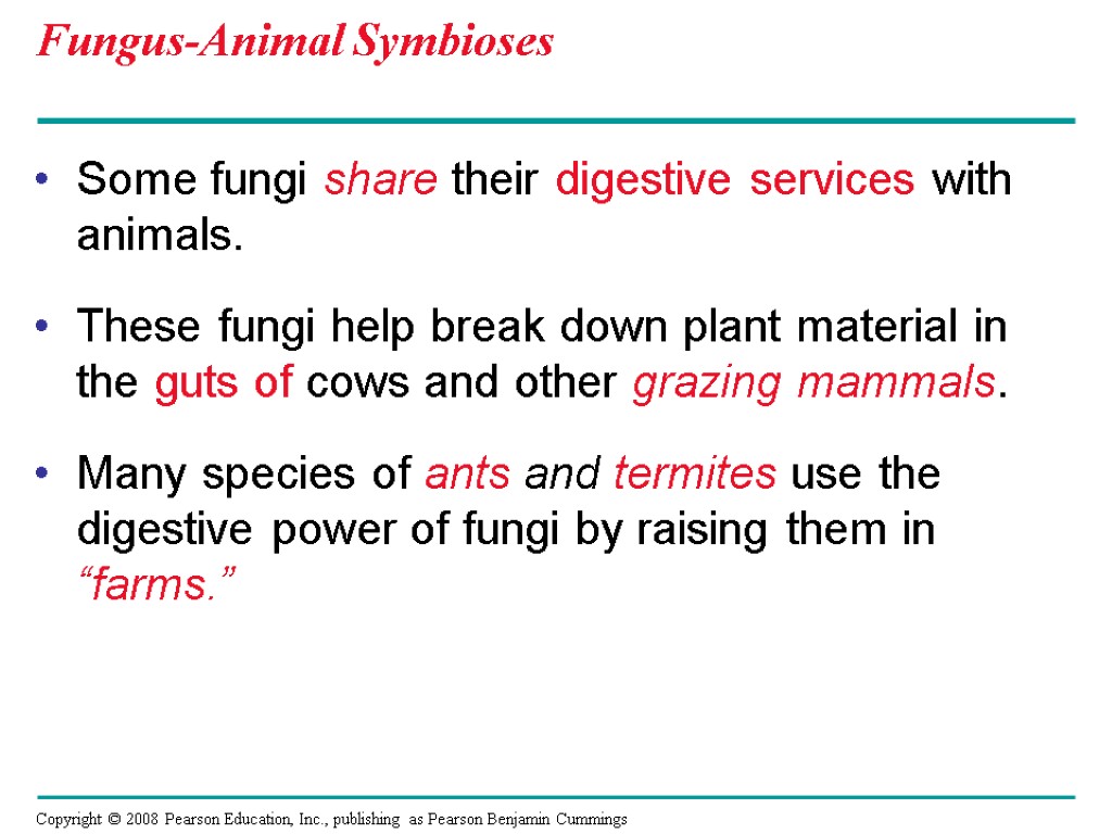 Fungus-Animal Symbioses Some fungi share their digestive services with animals. These fungi help break